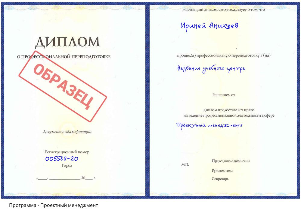 Проектный менеджмент Нефтекамск