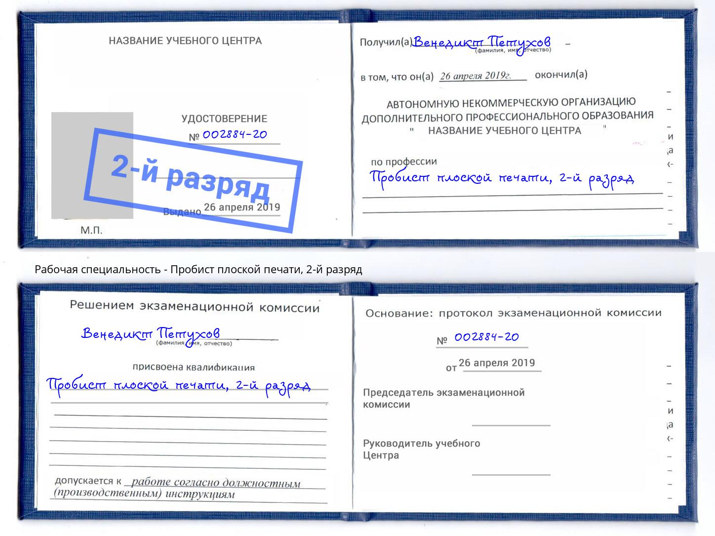 корочка 2-й разряд Пробист плоской печати Нефтекамск